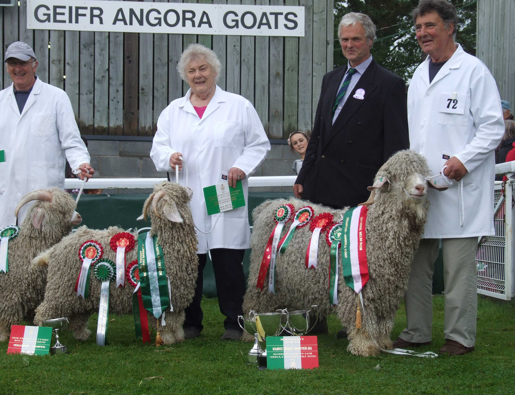 Royal Welsh 2011 Supreme Champion and Reserve angora goats
